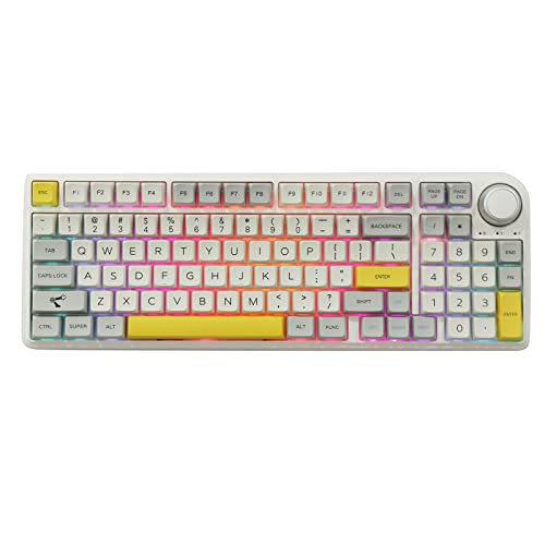 EPOMAKER TH96 96% Hot Swap RGB 2.4Ghz/Bluetooth 5.0/Wired Gasket Mounted Mechanical Keyboard with South-Facing RGB LEDs, 6000mAh Battery, Knob Control for Windows/Mac(Theory MDA, Budgerigar)