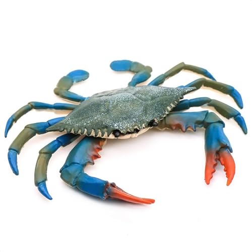 Blue Crab TiKi Bar Nursery - Plastic Crab Toy Bath Toys for Sea - Realistic Science Educational Ocean Sea Animals Figures - Creature Toys Gift for Birthday - Blue Crab Decorations Pool Toys for Beach