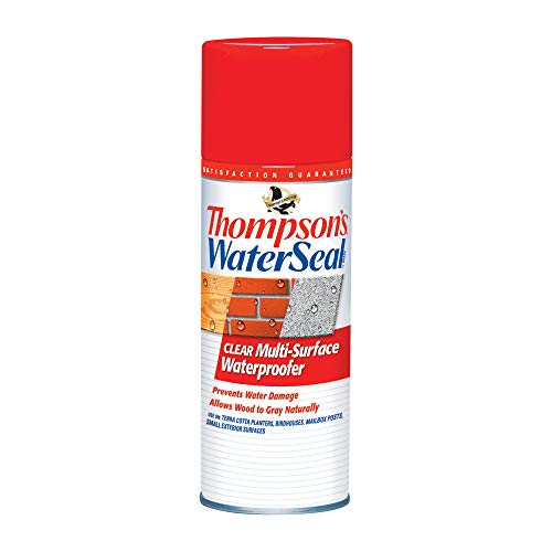 Thompson’s WaterSeal Multi-Surface Waterproofer Stain, Clear, 12 oz Aerosol Can