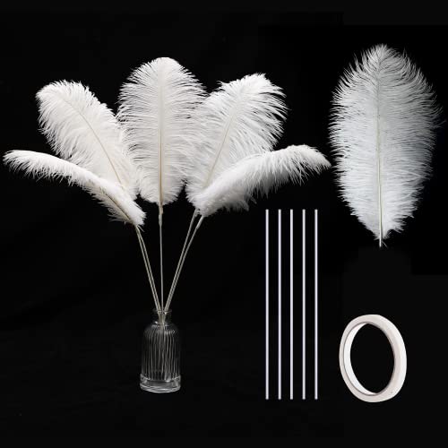 Holmgren White Ostrich Feathers Bulk - 20pcs Making Kit 22 Inch Large Ostrich Feathers for Vase, Floral Arrangement, Wedding Party Centerpieces and Christmas Home Decorations (White)