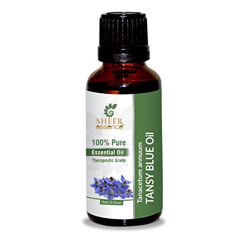 Blue Tansy Oil (Tanacetum Annuum) Essential Oil 100% Pure Natural Undiluted Uncut Therapeutic Grade Oil 0.16 Fl.OZ