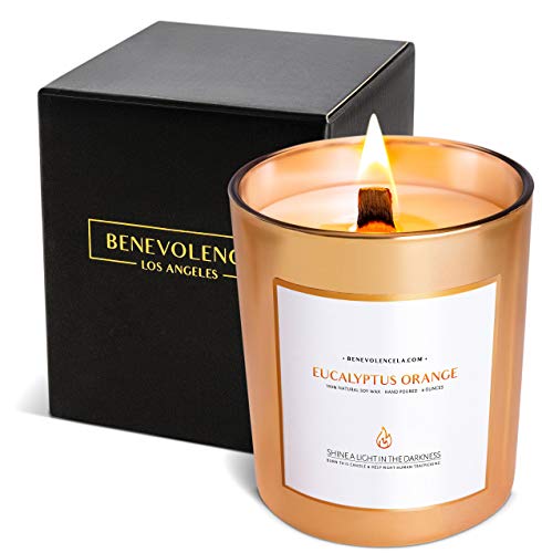 Benevolence Candles Eucalyptus Orange Wood Wick Candles, Spring Scented Candles for Women | 8 Oz Scented Candles for Home Scented | Eucalyptus Candles | Natural Candles | Men Candles | Bathroom Candle