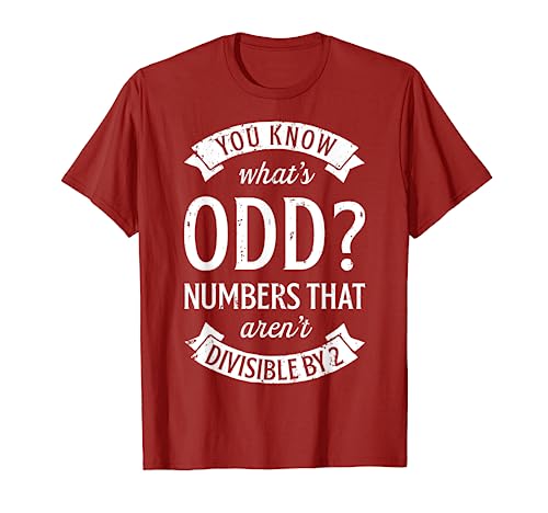 You Know What's Odd Numbers T shirt Math Teacher Funny Pun T-Shirt