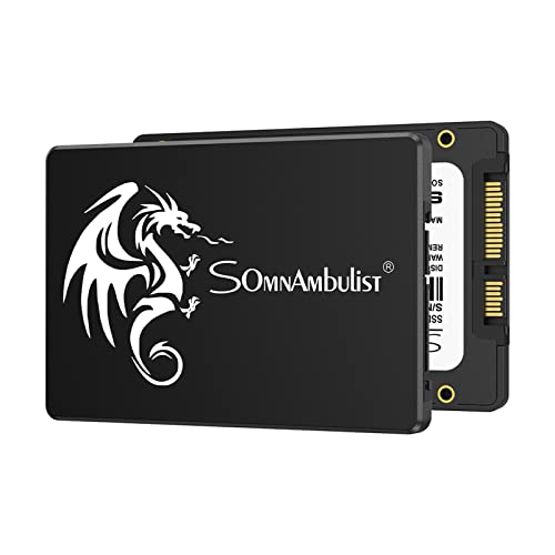 Somnambulist SSD 120GB SATA III 6Gb/s 2.5″ 7mm(0.28″) Internal Solid State Drive Read Speed Up to 550Mb/s for Laptop and Pc H650 SSD (120GB Black Dragon)