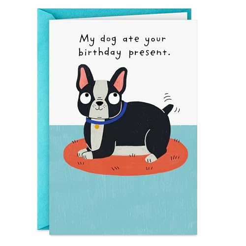 Hallmark Shoebox Funny Birthday Card (My Dog Ate Your Present)