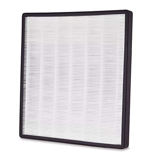 Holmes True HEPA Filter F Compatible - HAPF700 (for use with HAP769)