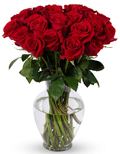 BENCHMARK BOUQUETS - 24 stem Red Roses (Glass Vase Included), Prime Next-Day Delivery, Gift Mother’s Day Fresh Flowers