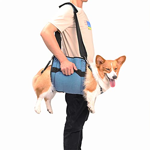 Dog Carry Sling, Emergency Backpack Pet Legs Support & Rehabilitation Dog Lift Harness for Nail Trimming, Dog Carrier for Senior Dogs Joint Injuries, Arthritis, Up and Down Stairs (L, Blue)