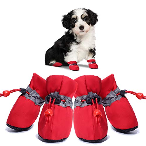 List of Top 10 Best dog boots that stay on in Detail