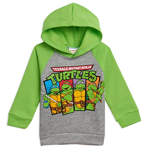 Teenage Mutant Ninja Turtles Leonardo Michelangelo Raphael Little Boys Fleece Pullover Hoodie Green 6