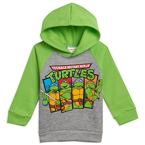 Teenage Mutant Ninja Turtles Leonardo Michelangelo Raphael Toddler Boys Fleece Pullover Hoodie Green 5T