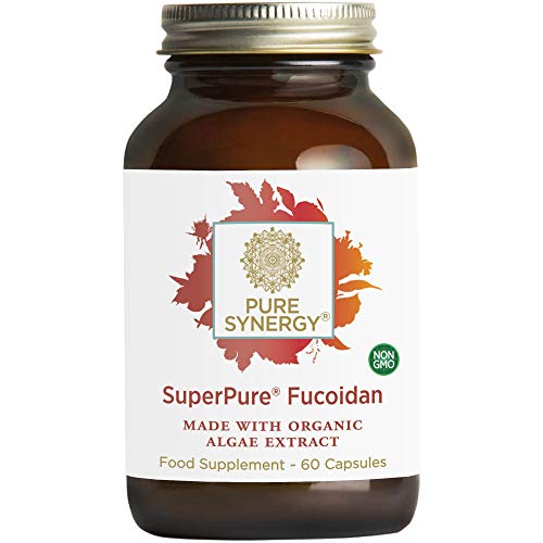 PURE SYNERGY SuperPure Fucoidan Extract | Organic Fucoidan Supplement | Gluten-Free Fucoidan from Brown Seaweed | for Immune Health, Digestion, and Healthy Aging (60 Capsules)