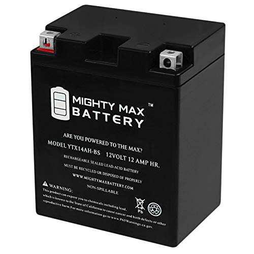 Mighty Max Battery ytx14ah - 12 volt 12ah 210 cca - high performance maintenance free sla agm power sport battery