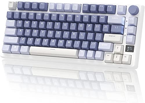RK ROYAL KLUDGE Gasket with RGB Backlit Hot-Swappable Keyboard Triple Mode Gaming Keyboard