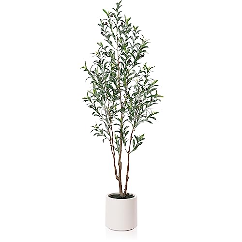 LOMANTO Artificial Olive Trees, 6 ft Tall Fake Olive Trees for Indoor, Faux Olive Silk Tree, Large Olive Plants with White Planter for Home Decor and Housewarming Gift, 1 Pack