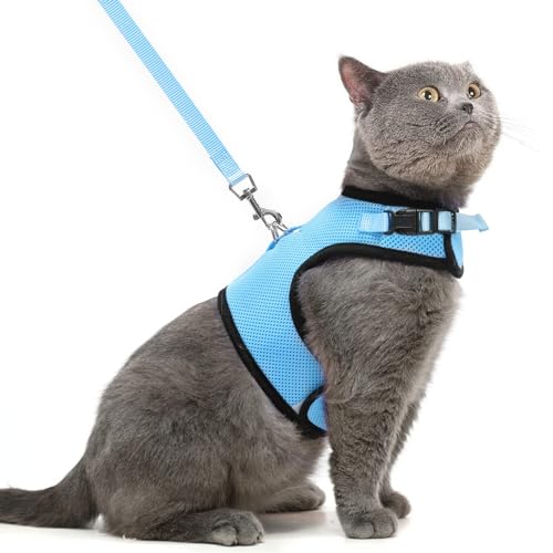 PUPTECK Soft Mesh Cat Vest Harness and Leash Set Puppy Padded Pet Harnesses Escape Proof for Cats Small Dogs, Blue Large