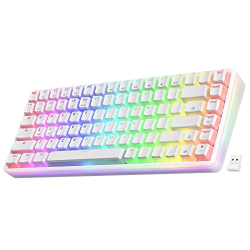 LTC Neon75 Wireless 75% Triple Mode BT5.0/2.4G/USB-C Hot Swappable Mechanical Keyboard, 84 Keys Bluetooth RGB Compact Gaming Keyboard with Software (Hot Swappable Red Switch, White)