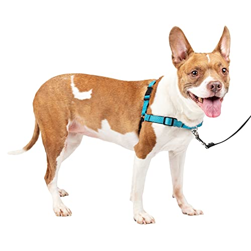 PetSafe Deluxe Easy Walk Dog Harness, No Pull Harness, Stop Pulling, Great For Walking and Training, Comfortable Padding, For Medium Dogs- Ocean, Medium