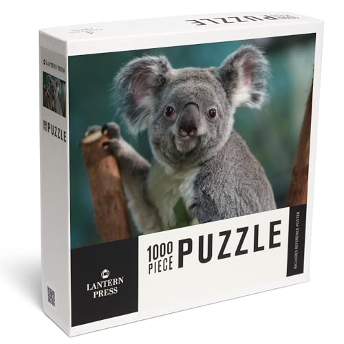 Lantern Press 1000 Piece Jigsaw Puzzle, Koala
