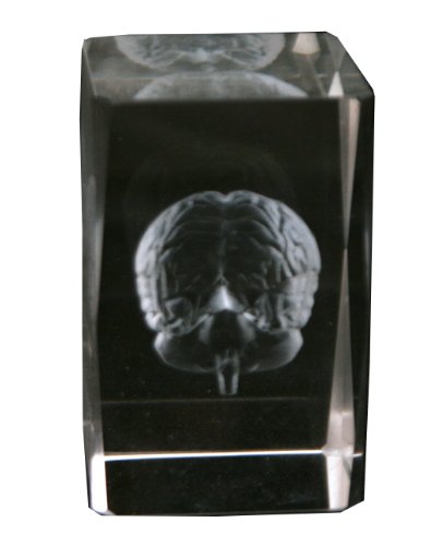 Brain Crystal Cube (3 inches in Height Solid 1 lb)