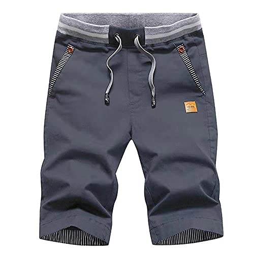 Tansozer Men's Shorts Casual Classic Fit Drawstring Summer Beach Shorts with Elastic Waist and Pockets (Overcast Blue, Large)