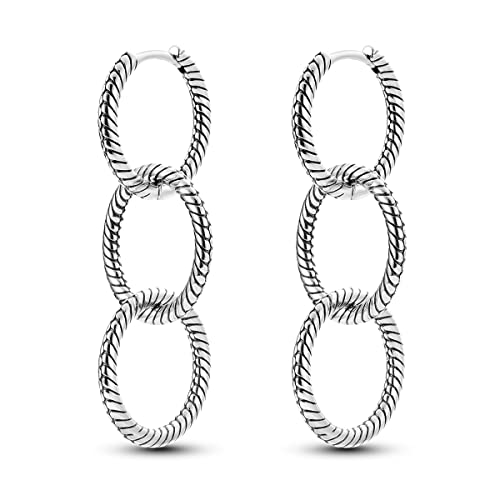 Hapour 925 Sterling Silver Dangle Earrings - Hypoallergenic Stainless Steel Hoop Earrings for Women and Girls - Fashionable Gift Idea