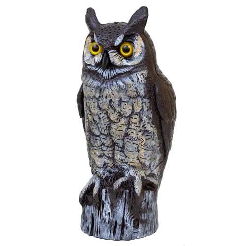 Dalen Fake Owl Decoy to Scare Birds Away from Gardens, Rooftops, and Patios - Scarecrow Provides Natural Pest Control - Safe and Humane, 16' Two Color Great Horned Owl