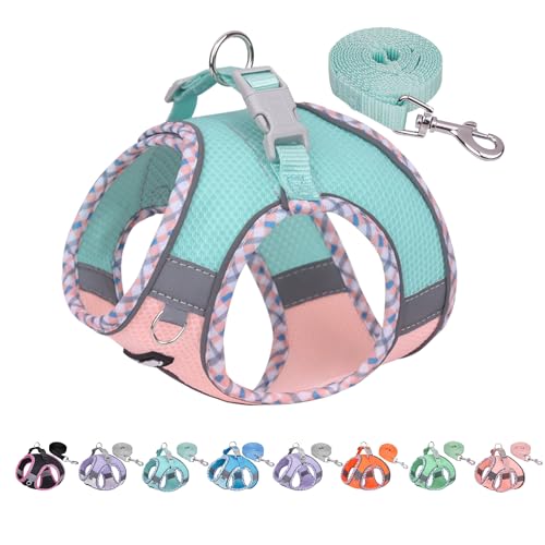 AIITLE Dog Harness and Leash Set,No Pull Step in Puppy Harness with Super Breathable Mesh, Reflective Adjustable Pet Harness for Outdoor Walking, Training for Small Dogs, Cats Turquoise-Pink XS