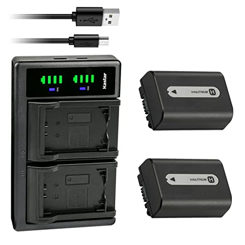 Kastar 2-Pack NP-FH50 Battery and LTD2 USB Charger Replacement for Sony DCR-SR36, DCR-SR37, DCR-SR38, DCR-SR40, DCR-SR42, DCR-SR45, DCR-SR46, DCR-SR47, DCR-SR48, DCR-SR50, DCR-SR52, DCR-SR55