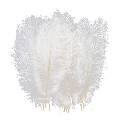 AWAYTR 10-12 inch (25-30cm) Natural Ostrich Feathers for Wedding Centerpieces Home Decoration,Flower Arrangement,DIY Christmas Decorations (10pcs,White)