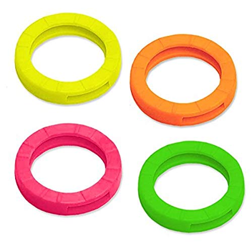 Lucky Line Large Key Identifiers, 3 units (Pack of 1), Assorted Neon Colors (16606)