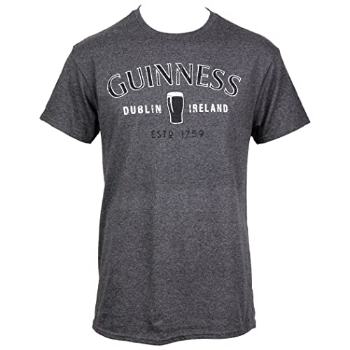 Guinness Dublin Ireland Beer Glass Logo T-Shirt Grey