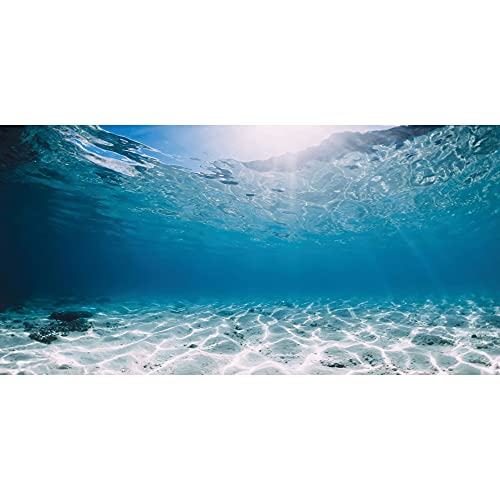 AWERT 48x18 inches Polyester Ocean Floor Background Undersea Ocean Floor Aquarium Background Tropical Tank Background