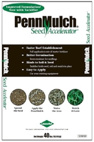 LebanonTurf 23-96104 Grass Plants, 40 lb