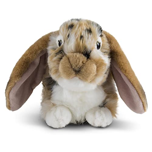 Living Nature Brown Dutch Lop Eared Rabbit Stuffed Animal | Fluffy Rabbit Animal | Soft Toy Gift for Kids | 10 inches