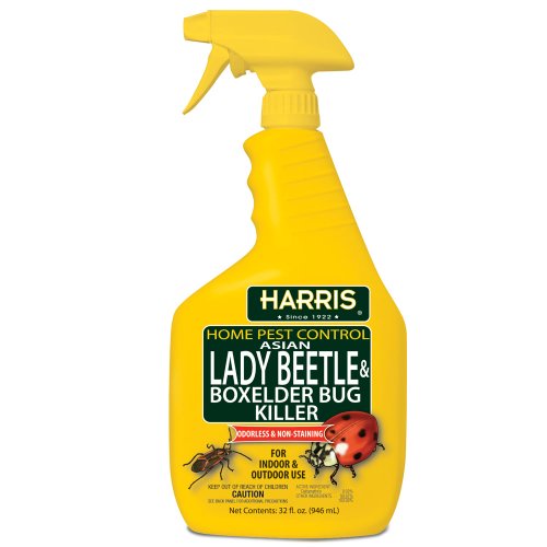 Harris Asian Lady Beetle and Box Elder Killer, Liquid Spray with Odorless and Non-Staining Extended Residual Kill Formula (32oz)