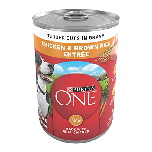 Purina ONE Tender Cuts in Wet Dog Food Gravy Chicken and Brown Rice Entree - (Pack of 12) 13 oz. Cans