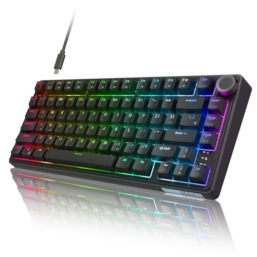 RK ROYAL KLUDGE R75 Mechanical Keyboard with Volumn Knob, 75% TKL Wired Gaming Keyboard Custom Gasket Mount NKRO RGB Backlit Software for Win, Pre-lubed Stabilizer, Hot Swappable Brown Switch