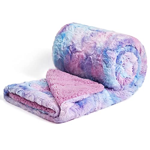 NEWCOSPLAY Super Soft Faux Fur Throw Blanket for Couch Purple Rainbow Sherpa Fuzzy Plush Warm Blanket for Sofa Bed (Purple Rainbow, Throw(40'x50'))