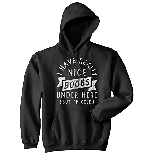 Crazy Dog T-Shirts I Have Really Nice Boobs Under Here But Im Cold Unisex Hoodie Funny Boob Joke Novelty Sweatshirt Funny Hoodies Funny Adult Humor Hoodie Novelty Hoodie Black XL