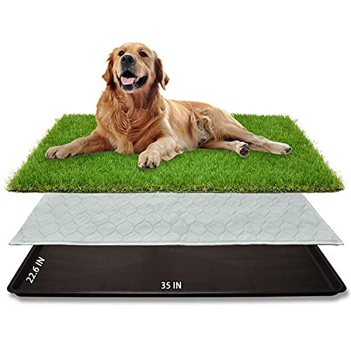 Dog Grass Large Patch Potty, Artificial Dog Grass Bathroom Turf for Pet Training, Washable Puppy Pee Pad, Perfect Indoor/Outdoor Portable Potty Pet Loo (Tray system-35'X22.6')