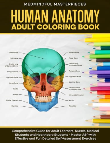 Human Anatomy Adult Coloring Book: Comprehensive Guide for Adult Learners, Nurses, Medical Students and Healthcare Students - Master A&P with Effective and Fun Detailed Self-Assessment Exercises