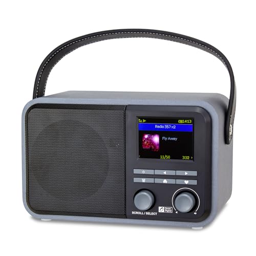 Ocean Digital WR-330 Wi-Fi Internet FM Radio Portable with Hand Strap and Passive Bass Radiator Preset Button Rechargeable Battery Bluetooth Receiver Stress Relief Relaxation 2.4” Color Display