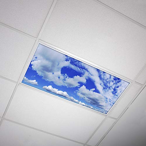 OCTO LIGHTS Fluorescent Light Covers for Ceiling Lights Classroom Light Filters 2x4 (22.38in x46.5in) Improve Focus, Eliminate Headaches, Provide Fluorescent Light Relief - Cloud 007