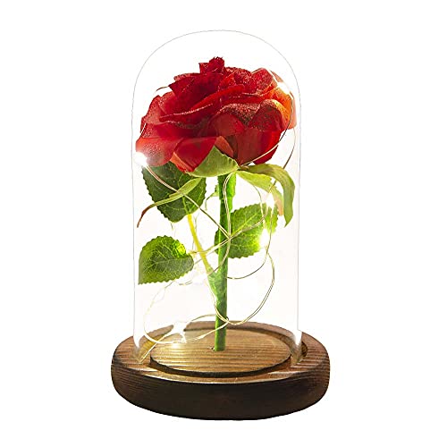 URBANSEASONS Valentines Day Gifts for Her,Valentines Gifts for Women,Valentines Gifts for Wife,Valentines Day Gifts for Mom Girlfriend Grandma, Beauty and The Beast Rose Flowers
