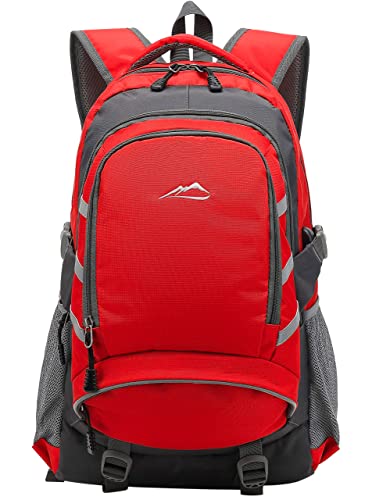 ProEtrade Backpack Daypack for College Laptop Travel, Computer Bookbag Bag with USB Charging Port Anti Theft Laptop Compartment Fits 15.6 Inch Notebook, Gifts for Men & Women (Red Color)