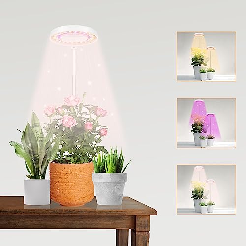 GooingTop LED Grow Light, Halo Plant Lamp for Indoor Plants Growing, White Low Light for Succulents Mini Small Plants Growth,Upgrade Timer 4/8/12/18 Hrs & Variable Spectrum