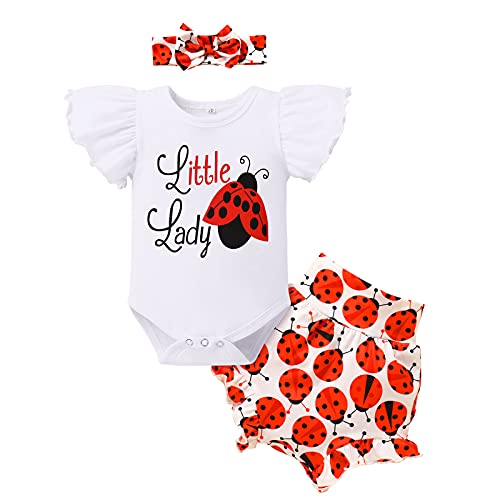 Ladybug Outfit for Baby Girl Newborn Romper Shorts Pants Bowknot Headband Hawaii Ladybug Themed Birthday Party Supplies Decorations Half 1st Birthday Coming Home Cake Smash Red - Ladybug 3-6 Months