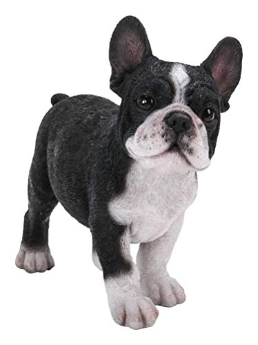 Pacific Giftware Realist Look French Bulldog Puppy Standing Resin Figurine Statue