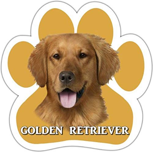 Golden Retriever Car Magnet With Unique Paw Shaped Design Measures 5.2 by 5.2 Inches Covered InUV Gloss For Weather Protection